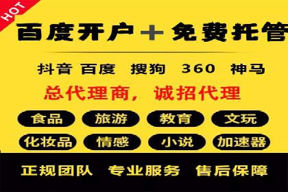 SEM代理服务：助力企业精准营销案例解析